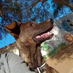 Profile Picture of _.edith_gonzalez._ (@_.edith_gonzalez._) on Instagram