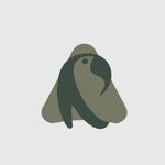 Ara Solution | Videograhpy & Marketing - Instagram Profile Picture of Ara Solution | Videograhpy & Marketing (@ara_solution_) on Instagram