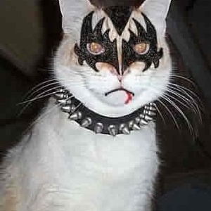 Profile Picture of Joey Gatery (@238888627) on Myspace