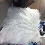 Profile Picture of Kathy Wilfong (@wilfong.kathy) on Instagram