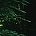 Profile Picture of Daddy V (@daddy v) on Flickr