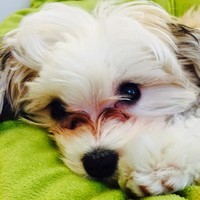 Profile Picture of Danielle Rabe (@danielle-rabe) on Quora