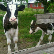 Profile Picture of Audrey Clark (@littlelover1973) on Youtube