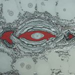 Profile Picture of Dirk Lange Handmarmorpapier (@handmarmorpapier) on Instagram