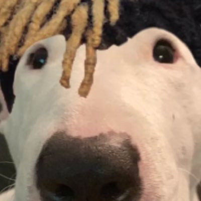 Profile Picture of Jacob Robb (@JacobRobb19) on Twitter