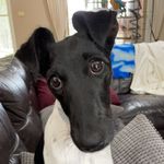 Profile Picture of Matthew Marlow (@just_tippen) on Instagram