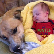 Profile Picture of Kevin Nivek (@kevinnivek8973) on Youtube