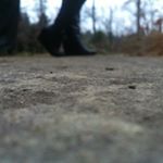 Profile Picture of Alyssa (@alyssacarrieroo) on Instagram