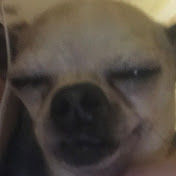 Profile Picture of Alvin Wang (@alvinwang1711) on Youtube