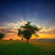 Profile Picture of Alex Nott (@alexnott2103) on Youtube