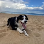 Profile Picture of Naboo Turner (@Naboo-Turner) on Facebook