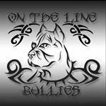 Profile Picture of Royce Stephens (@on_theline_bullies) on Instagram