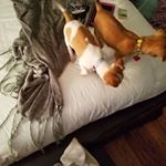 Ora Jenkins - Instagram Profile Picture of Ora Jenkins (@ora.jenkins.1) on Instagram