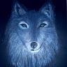 Profile Picture of Simon James Winterbottom (@@soulshepherd1) on Tiktok