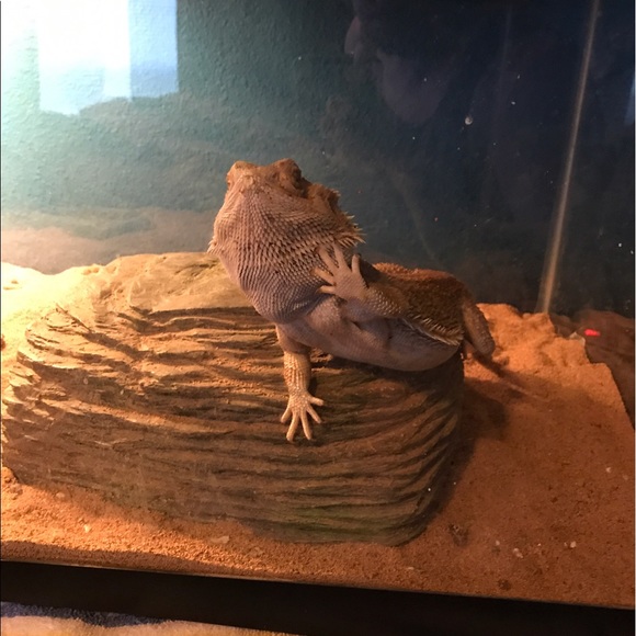 Profile Picture of Michael Parker (@mikey316) on Poshmark