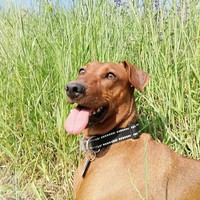 Profile Picture of Alejandro Silva Ortiz (@alejandro-silva-ortiz) on Quora