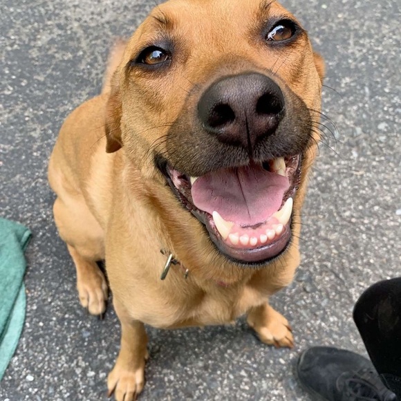 Profile Picture of Jordan Lloyd (@jordanlloyd463) on Poshmark