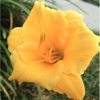 Profile Picture of Colby Tate (@colby-tate) on Quora