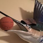 Profile Picture of Carson Larson The Marlin (@carsonlarson) on Instagram