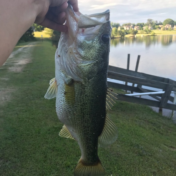 Profile Picture of Michael Beaver (@michaelbeave321) on Poshmark