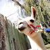 Profile Picture of Elias Roberts (@elias.roberts.7) on Facebook
