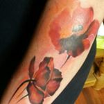 deborah lloyd - Instagram Profile Picture of deborah lloyd (@debbielloydmail) on Instagram