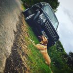 Profile Picture of Paul Wigg (@paulie634) on Instagram