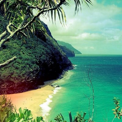 Profile Picture of Leo (@leo_poirier) on Twitter