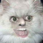 Profile Picture of Dillon Cyrus Emadi (@dillon_emadi) on Instagram