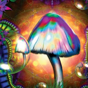 Profile Picture of Hunter Leach (@hunterleach5710) on Youtube