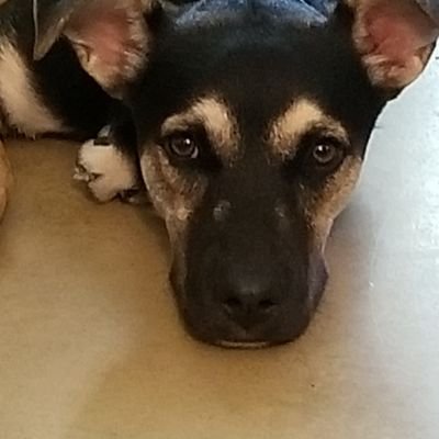 Profile Picture of Kim Ritter (@cressonkritter) on Twitter