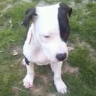 Profile Picture of   Carola di Giacinto... (@carola_48) on Tiktok