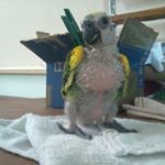 Profile Picture of Jorge Cassano (@joeducassano46) on Instagram