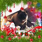 Profile Picture of Edward Gosslin (@edward.gosslin.2025) on Facebook