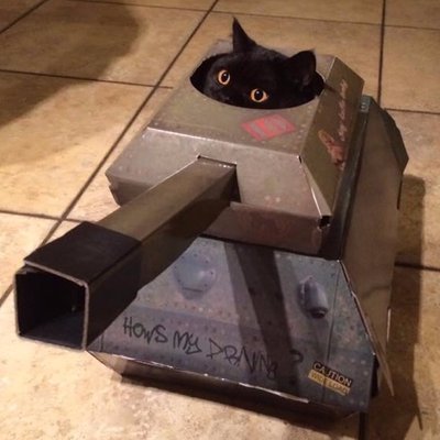 Profile Picture of Albert (@albert3kelly) on Twitter