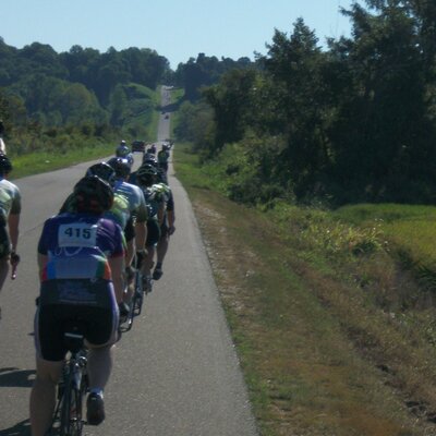 Profile Picture of Mark Whitby (@Mark4Whitby) on Twitter