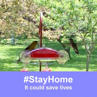 Carolyn QuinnMarquardt - Facebook Profile Picture of Carolyn QuinnMarquardt (@carolyn.quinnmarquardt) on Facebook