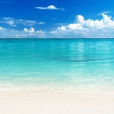 Michaela - Twitter Profile Picture of Michaela (@michaelafite) on Twitter