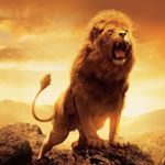 Profile Picture of Jeff Cartwright (@warriorsbenchmark) on Instagram