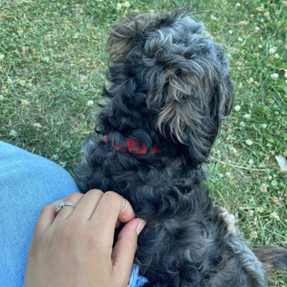 Profile Picture of Yadeline mercedes Pichardo paula (@yade717) on Poshmark