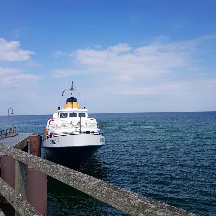 Profile Picture of stevendanowsky0 (@stevendanowsky0) on Tiktok