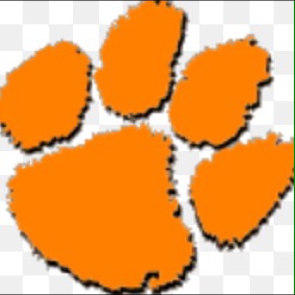 Profile Picture of Dee Stilwell (@tweetymustang) on Poshmark