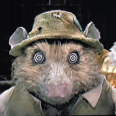 Profile Picture of Brant Louck (@BrantLouck) on Twitter