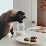 Profile Picture of The Spytma  Family (@the_spytma_family) on Instagram