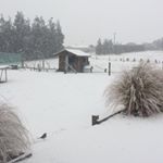 Profile Picture of Samuel Goodall (@samuel.goodall07) on Instagram