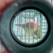 Profile Picture of James Hoskins (@jameshoskins2209) on Youtube