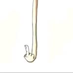 Profile Picture of Basher Niño Tanan (@Basher-Niño-Tanan) on Facebook