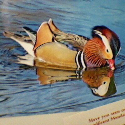 Profile Picture of Frances Mccarthy (@franmccarthy77) on Twitter