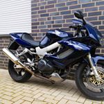 Profile Picture of Tim Brüning (@bruening.tim) on Instagram