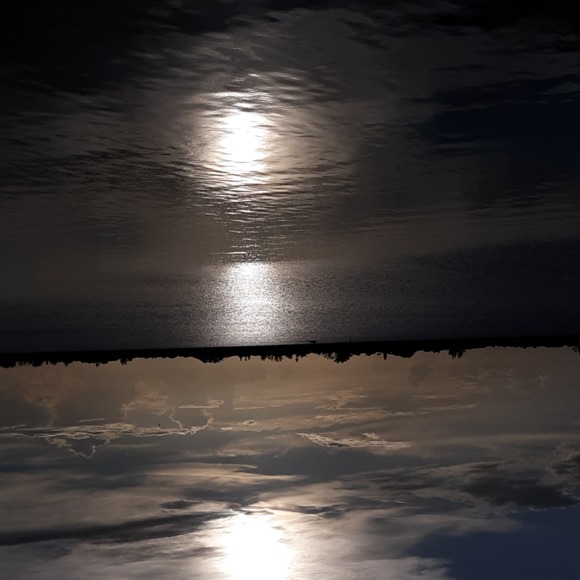 Profile Picture of Tim and theresa Walton (@impulsiveimagin) on Poshmark